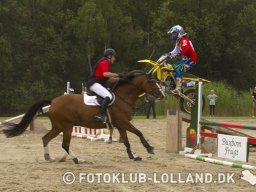 2015 LF Hestedag